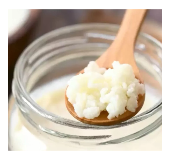 Probiótico Completo Natural Kéfir Búlgaros Yogurt Pajaritos