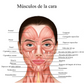 Microcorrientes Facial
