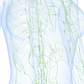 Pack 2025 Terapia Descongestiva Compleja del Cuerpo Completo DLM