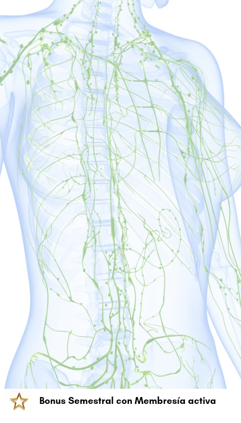 Pack 2025 Terapia Descongestiva Compleja del Cuerpo Completo DLM