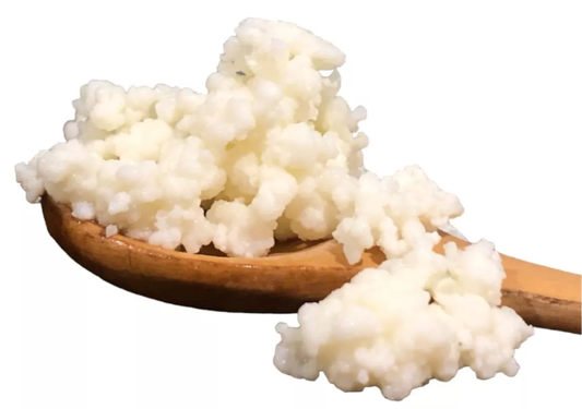 Probiótico Completo Natural Kéfir Búlgaros Yogurt Pajaritos