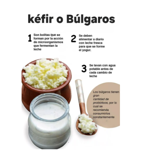 Probiótico Completo Natural Kéfir Búlgaros Yogurt Pajaritos