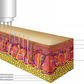 Microneedling Facial o Corporal